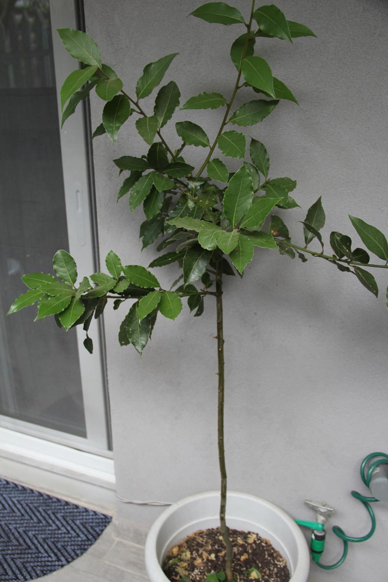 Apartment Patra Greece 외부 사진